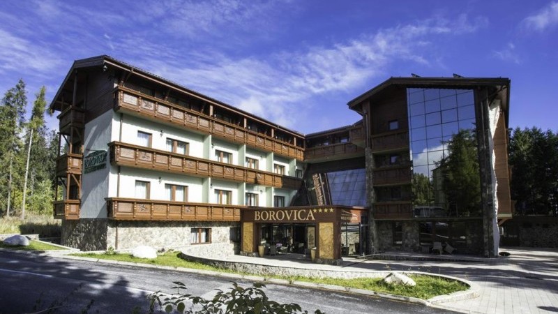 Wellness Hotel Borovica****