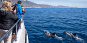 Tenerife – ostrov sopiek a oceánu