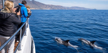 Tenerife – ostrov sopiek a oceánu