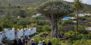 Tenerife – ostrov sopiek a oceánu