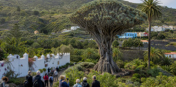 Tenerife – ostrov sopiek a oceánu
