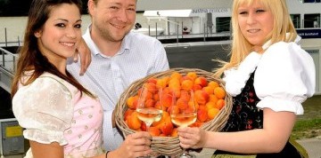 Slávnosť marhúľ a kláštor Klosterneuburg