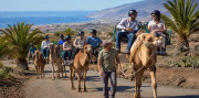 Tenerife – ostrov sopiek a oceánu