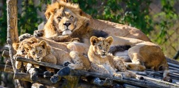 Zájazd do zlínskej ZOO a na zámok Lešná
