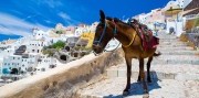 Letecký zájazd na Grécke Santorini