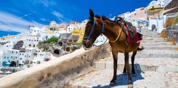 Letecký zájazd na Grécke Santorini