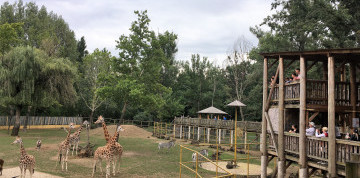 Zájazd do ZOO v Nyiregyháza