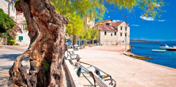 Celodenné kúpanie pri Trogire