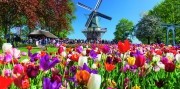 5-dňový zájazd do Beneluxu