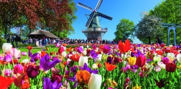 5-dňový zájazd do Beneluxu