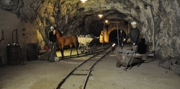 Zámok v Laxenburgu s plavbou a čokoládovňa