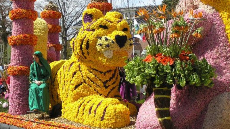 Zájazd do Holandska s návštevou korza Bloemen Corso