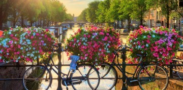 5-dňový zájazd do Beneluxu