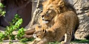 Zájazd do zlínskej ZOO a na zámok Lešná