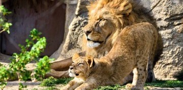 Zájazd do zlínskej ZOO a na zámok Lešná