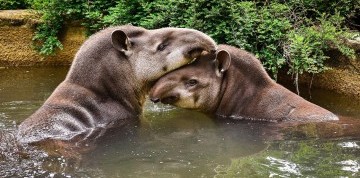 Zájazd do zlínskej ZOO a na zámok Lešná