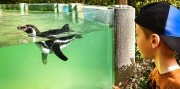Zájazd do zlínskej ZOO a na zámok Lešná