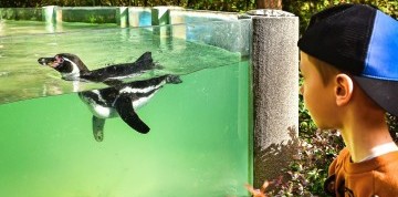 Zájazd do zlínskej ZOO a na zámok Lešná