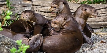 Zájazd do zlínskej ZOO a na zámok Lešná
