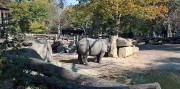 Jeden deň v Schonbrunne s návštevou ZOO