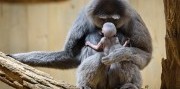 Zájazd do zlínskej ZOO a na zámok Lešná