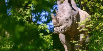 Zájazd do zlínskej ZOO a na zámok Lešná