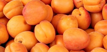 Slávnosť marhúľ a kláštor Klosterneuburg