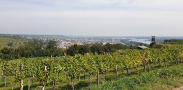 Zájazd do Rakúska: Melk, Krems a Tulln