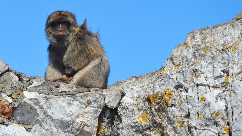 Malaga a Gibraltar – kontrasty Stredomoria letecky