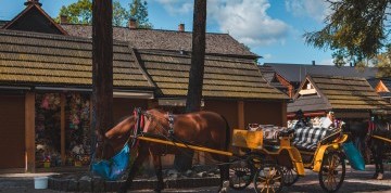 Skvelý poznávací zájazd do Krakowa, Wieliczky a Zakopaného