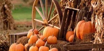 Tekvicové slávnosti s ochutnávkou vína