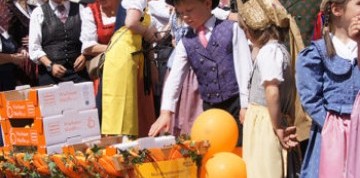 Slávnosť marhúľ a kláštor Klosterneuburg