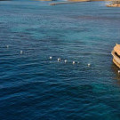 Eagle Downtown Zahabia 4* Hotel