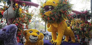 Zájazd do Holandska s návštevou korza Bloemen Corso