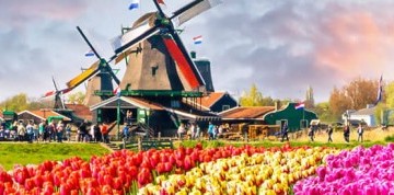 3-dňový zájazd do Holandska s návštevou kvetinovej výstavy
