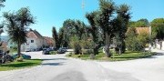 Slunce, seno a cesta do Hoštic u Volyně