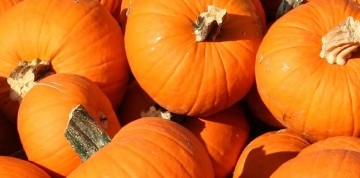 Tekvicové slávnosti s ochutnávkou vína