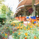 Ivana Palace 4* Hotel