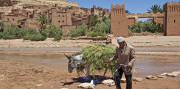 Maroko – Agadir, oceán a tajomstvá Atlasu