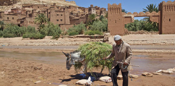 Maroko – Agadir, oceán a tajomstvá Atlasu