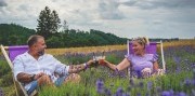 Levanduľový festival na Morave a mesto fontán Olomouc