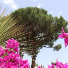 Paradiso Hotel 4*