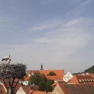 Penzion Čáp