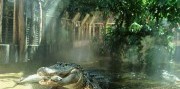Zájazd do Budapešti s návštevou Tropicaria Oceanaria