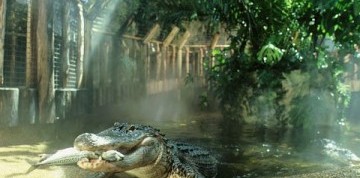 Zájazd do Budapešti s návštevou Tropicaria Oceanaria