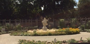 Badenské dni ruží v Baden bei Wien