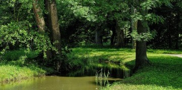 1-dňový zájazd na zámok v Kromeříži a výstavu Floria