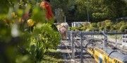 Zájazd do zábavného parku Madurodam v Holandsku