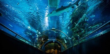 Zájazd do Budapešti s návštevou Tropicaria Oceanaria