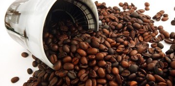 Festival kávy vo Viedni s prehliadkou mesta  